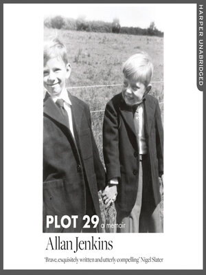 cover image of Plot 29